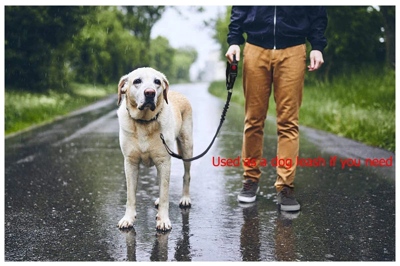 New Solid Two-in-one Pet Car Seat Belt Dog Harness Leash BackSeat Safety Belt Adjustable for Kitten Dogs Collar Pet Accessories