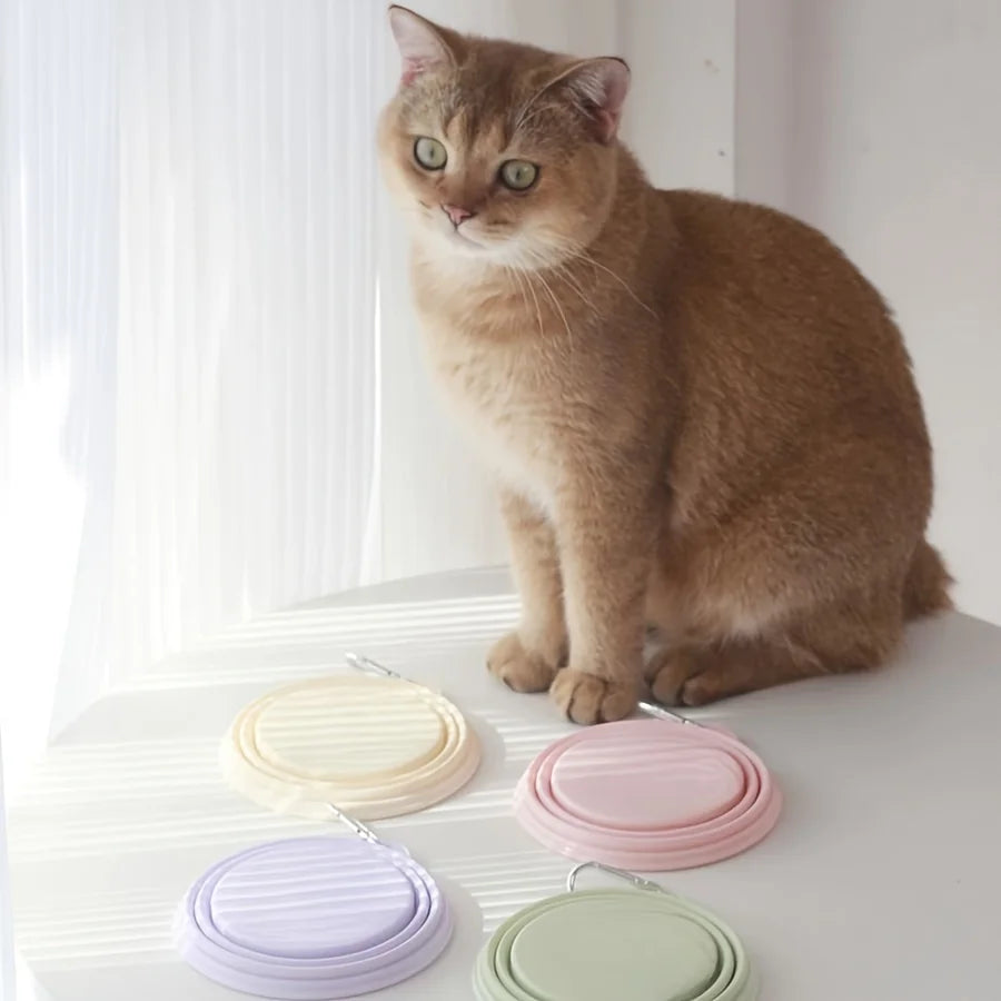 Hanging Dog Pet Folding Silicone Bowl 350ml Outdoor Travel Portable Food Water Container Feeding Tray Bowl Macaron Color Supplie