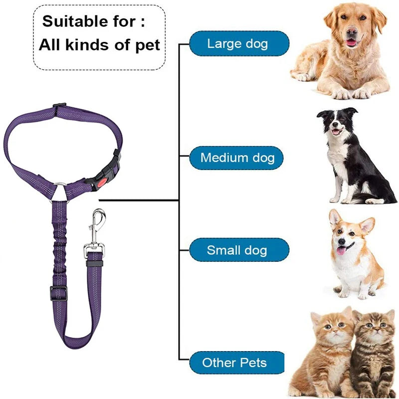 New Solid Two-in-one Pet Car Seat Belt Dog Harness Leash BackSeat Safety Belt Adjustable for Kitten Dogs Collar Pet Accessories